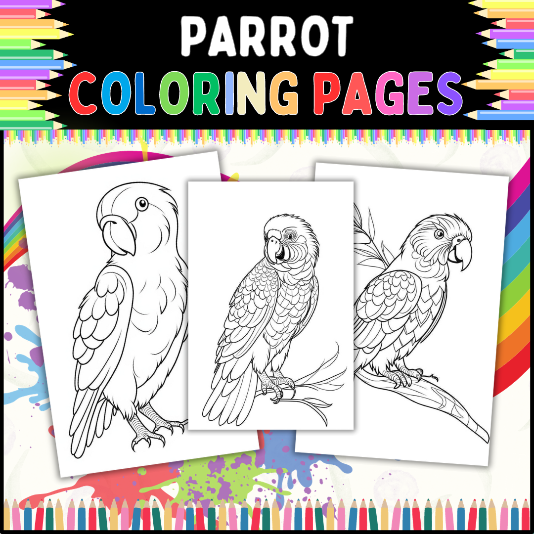 Easy parrot coloring pages for toddlers and preschoolers perfect for classrooms made by teachers