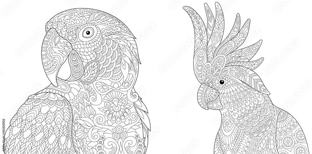 Coloring page collection of macaw ara and cockatoo parrots freehand sketch for adult antistress colouring book in zentangle style vector