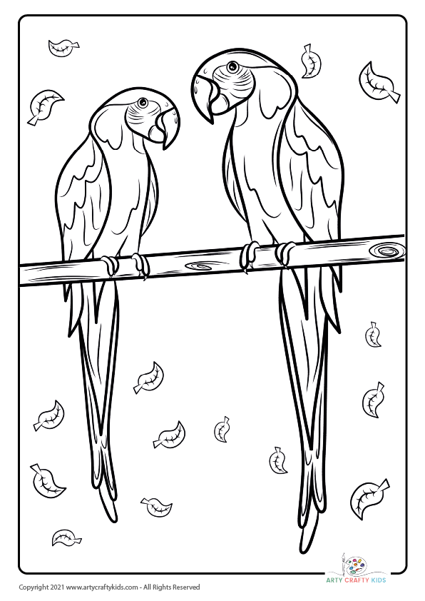 Bird coloring pages