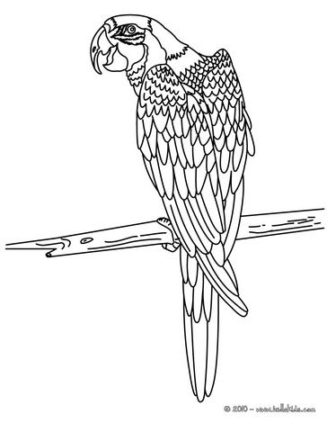 Bird coloring pages