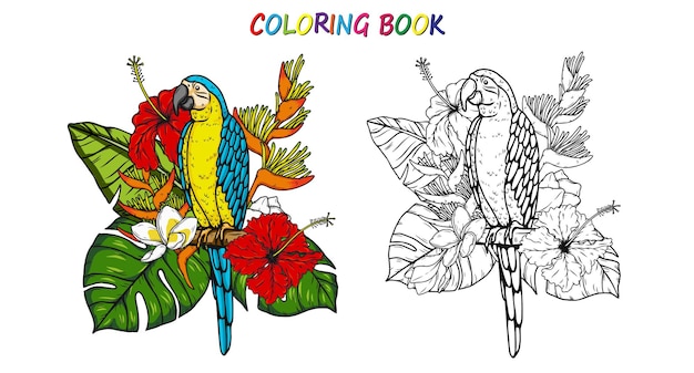 Premium vector macaw parrot in summer for coloring book