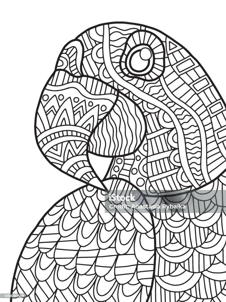 Blue macaw parrot detailed coloring page for kids and adults stock vector illustration stock illustration