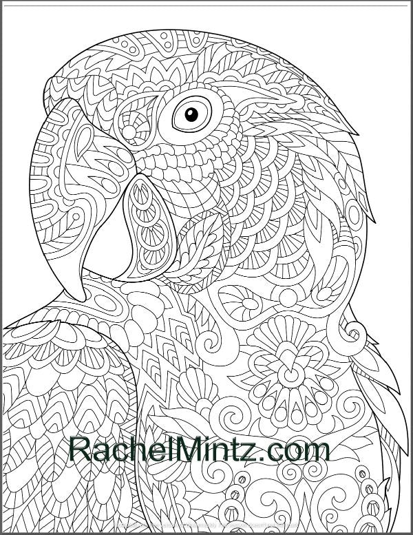 Colorful parrots coloring page â rachel mintz coloring books