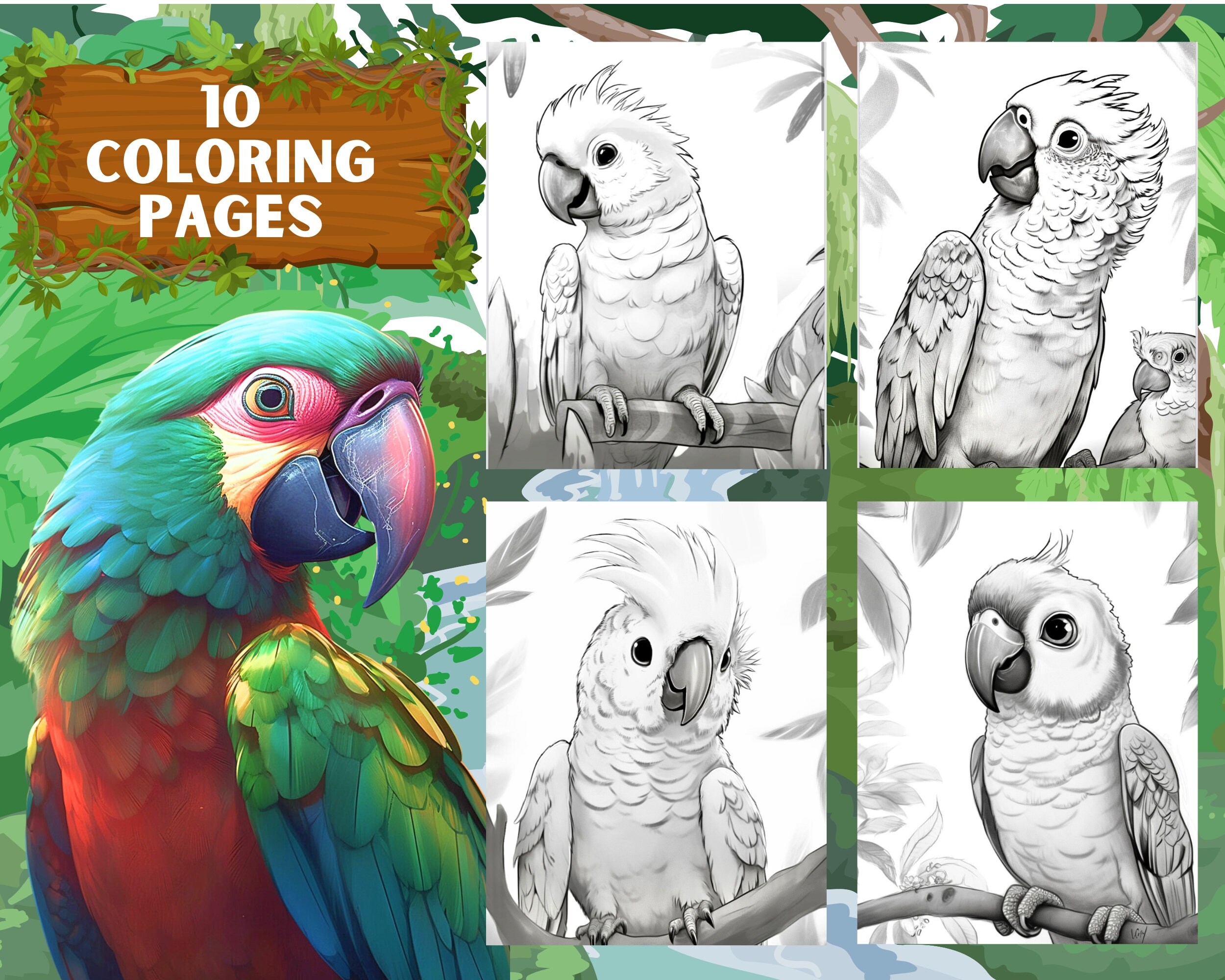 Tropical bird coloring pages parrot coloring pages instant download instant download