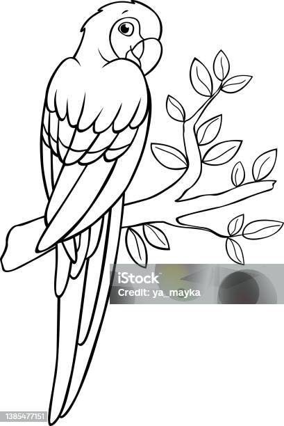 Coloring page cute parrot red macaw sits and smiles stock illustration