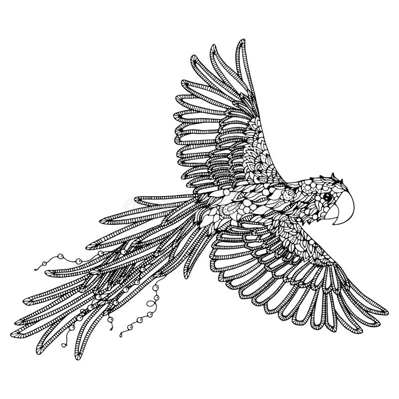 Parrot coloring page scarlet macaw stock illustration