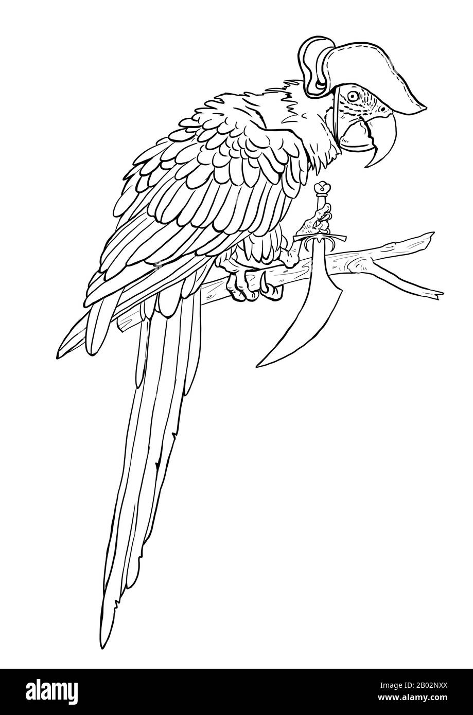 Macaw with pirate knife coloring page funny outline clipart illustration coloring sheet with parrot stock photo