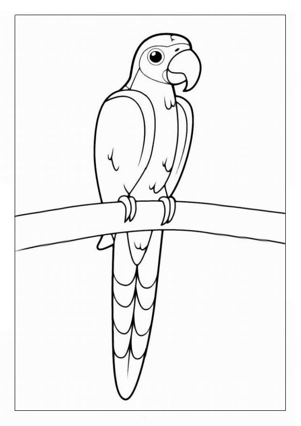 Parrot coloring pages printable coloring sheets