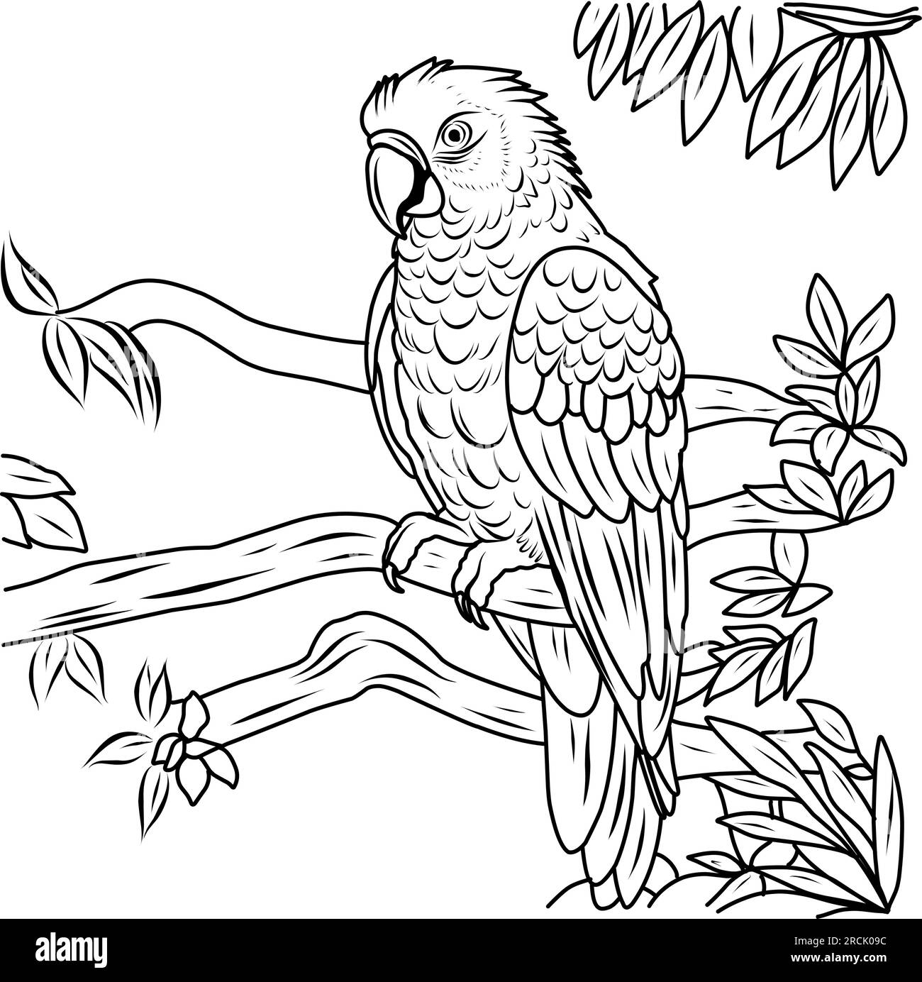 Parrot macaw coloring page bird exotic coloring page stock vector image art