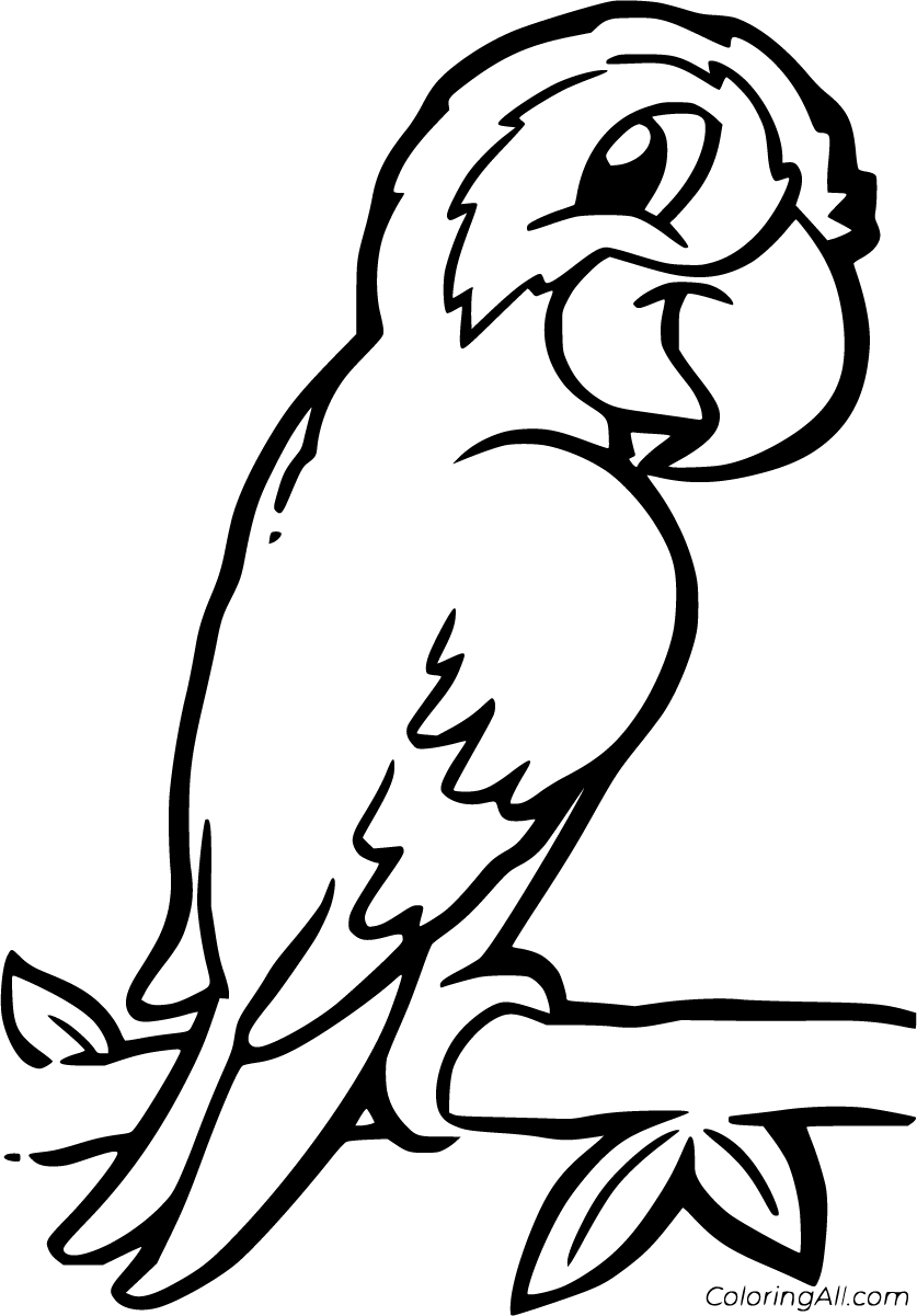 Macaw coloring pages