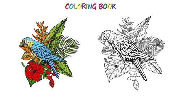 Premium vector macaw parrot in summer for coloring book