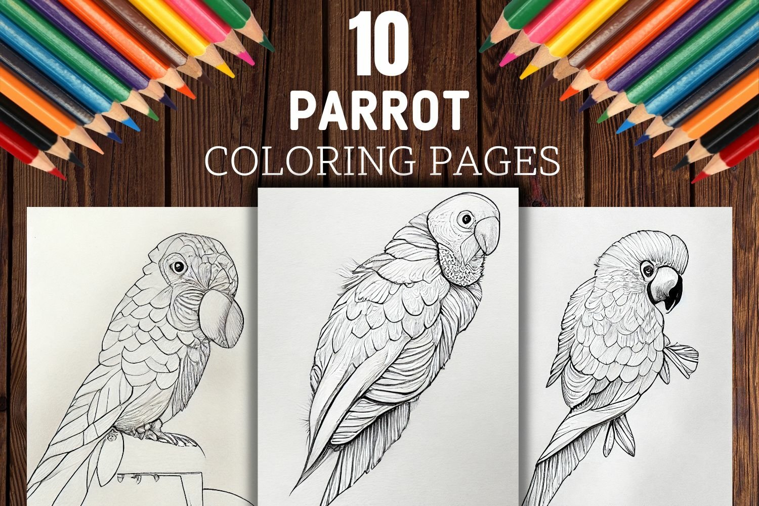 Parrot coloring pages