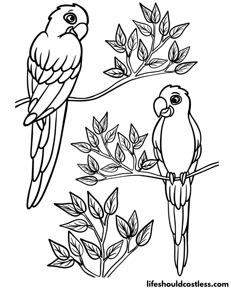 Parrot coloring pages free printable pdf templates