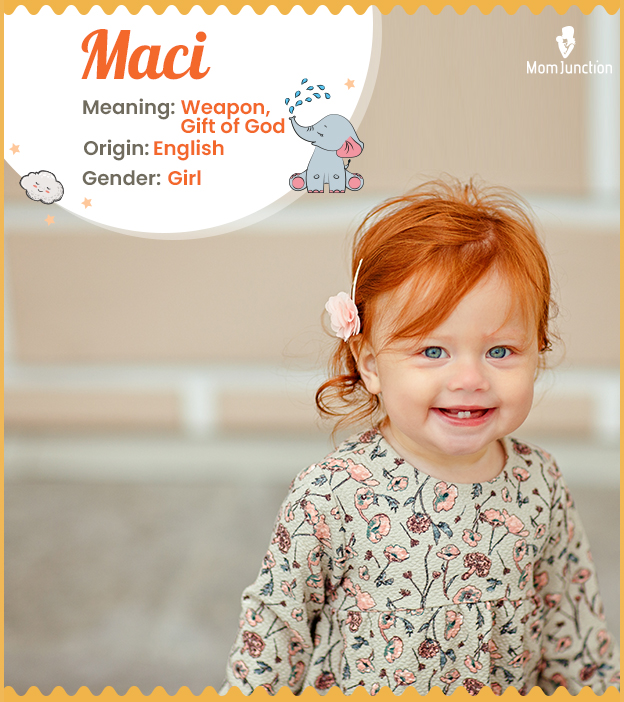 Maci meaning origin history and popularity