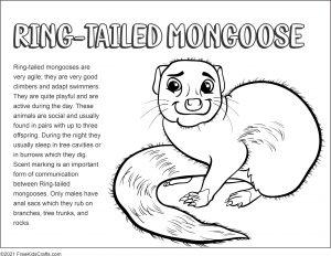 Madagascar coloring pages