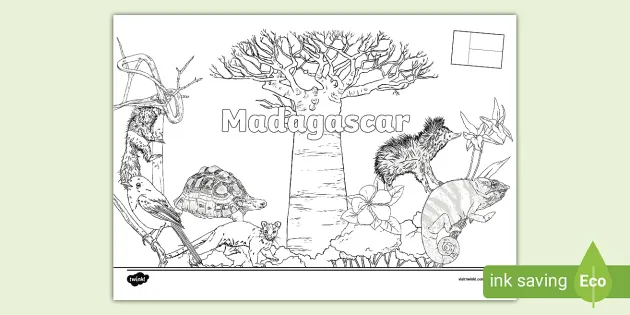 Madagascar colouring page teacher made