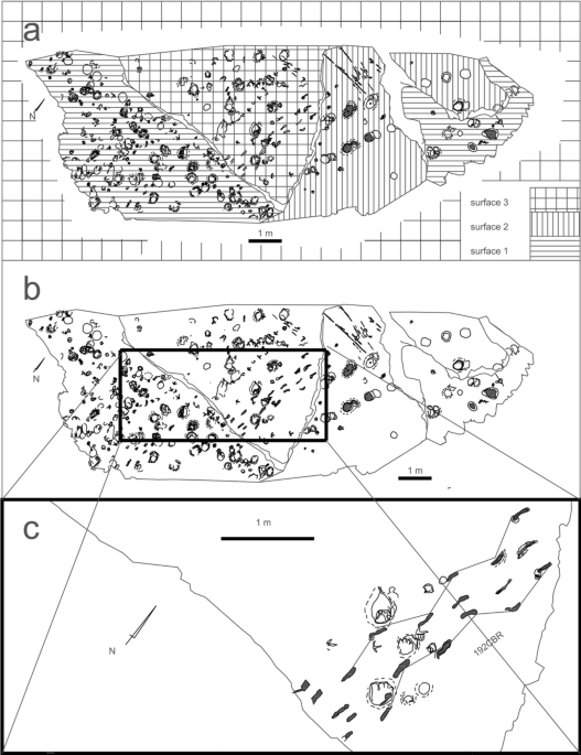 A new enigmatic lacustrine trackway in the upper miocene of the sierra de las cabras jumilla murcia spain journal of iberian geology