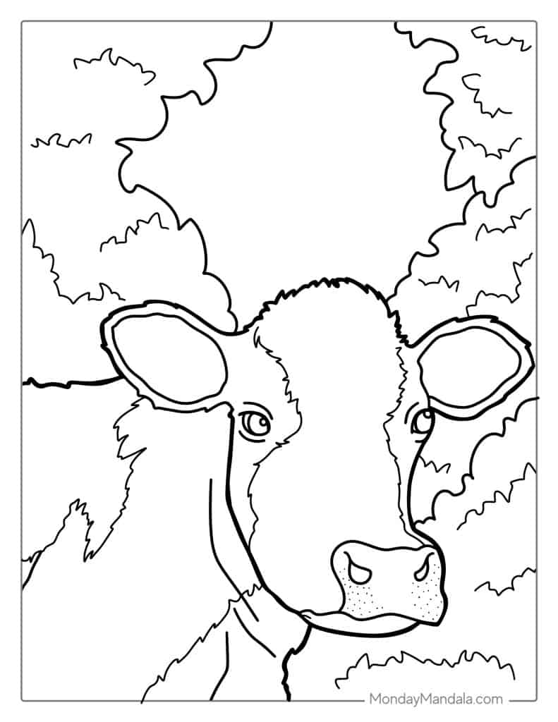 Cow coloring pages free pdf printables