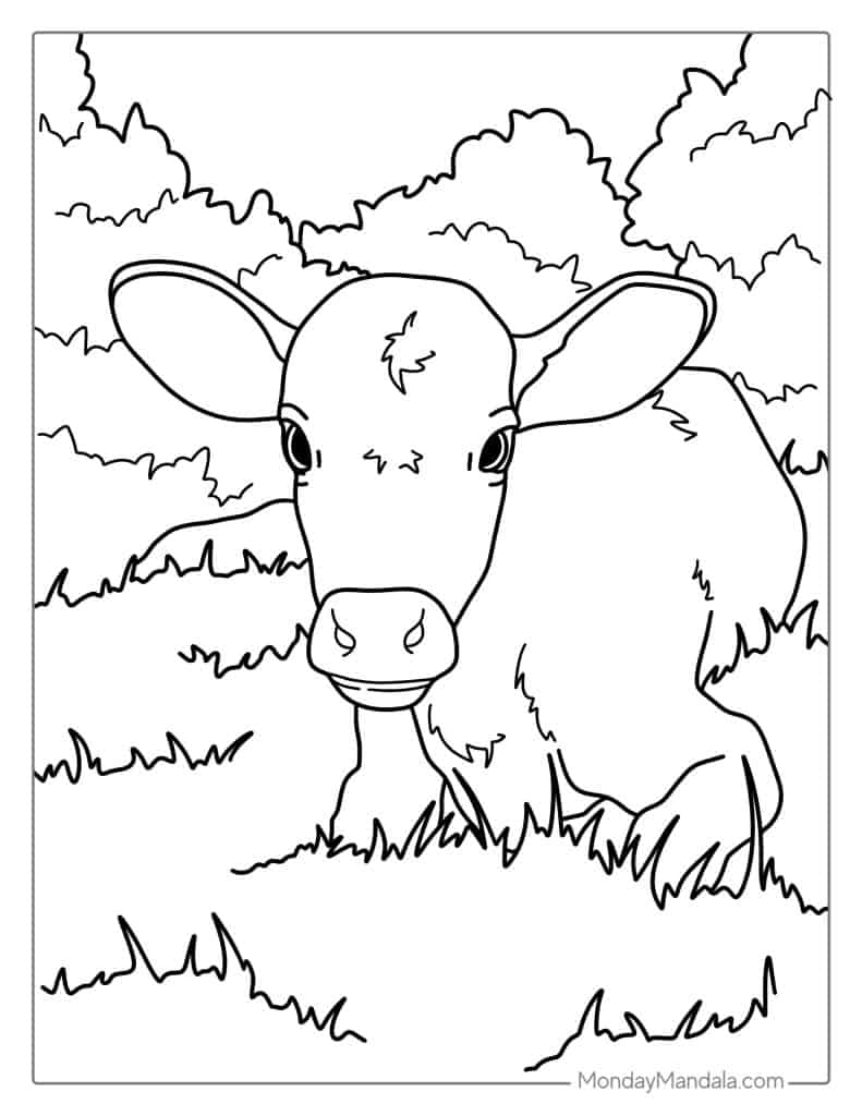 Cow coloring pages free pdf printables