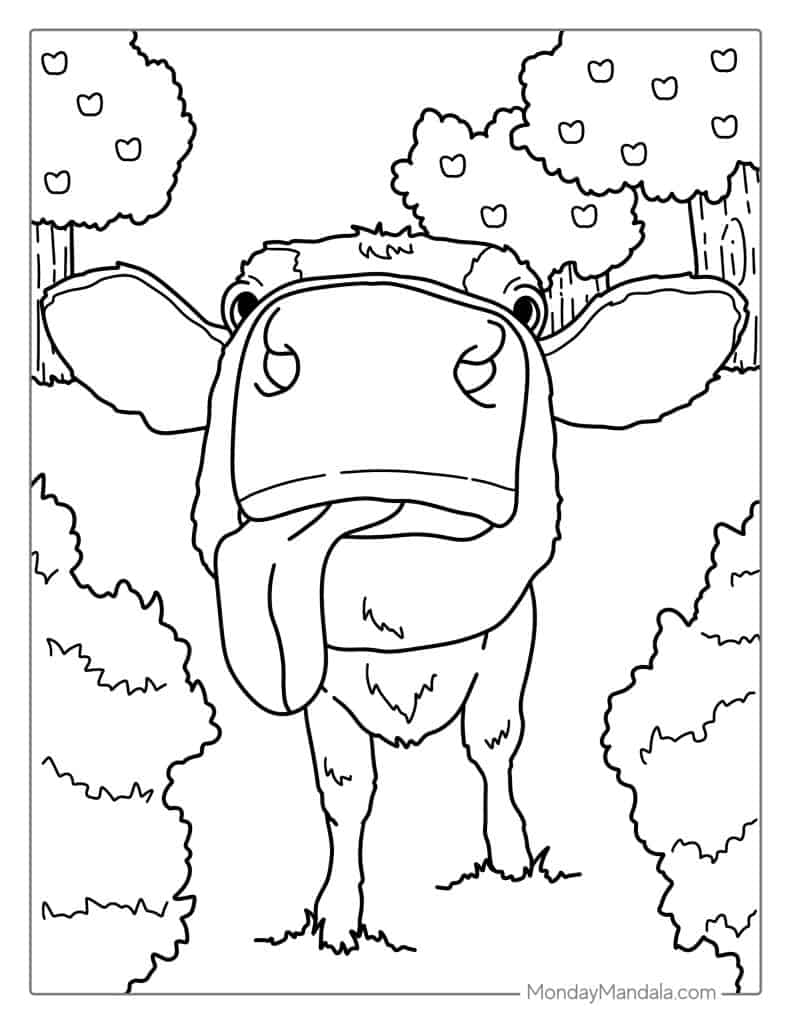 Cow coloring pages free pdf printables