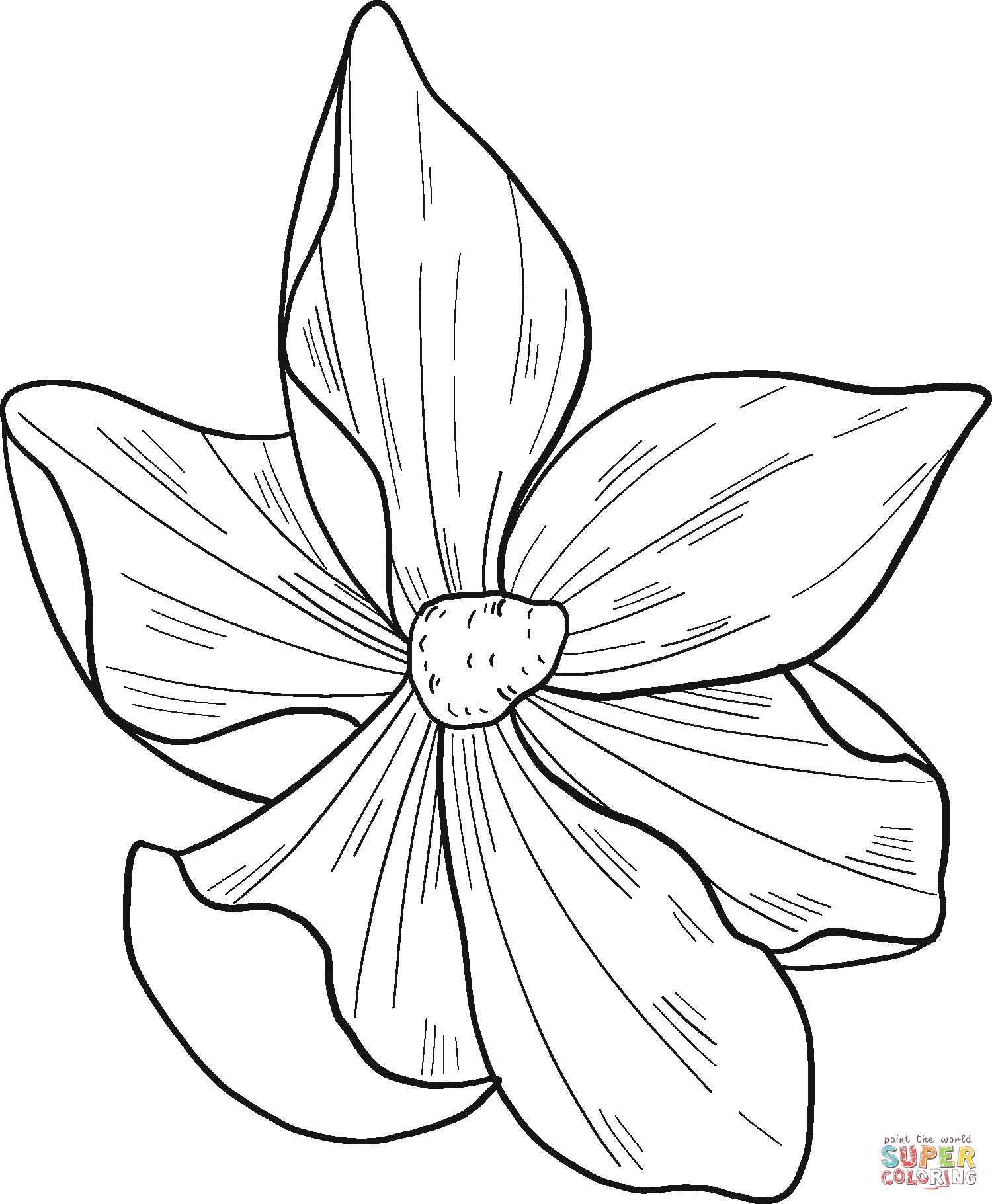 Magnolia flower coloring page free printable coloring pages