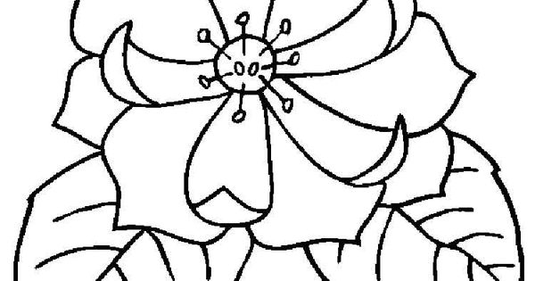 Magnolia coloring pages