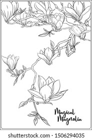 Magnolia tree branch flowers coloring page stock vector royalty free