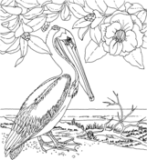 Magnolia coloring pages free coloring pages