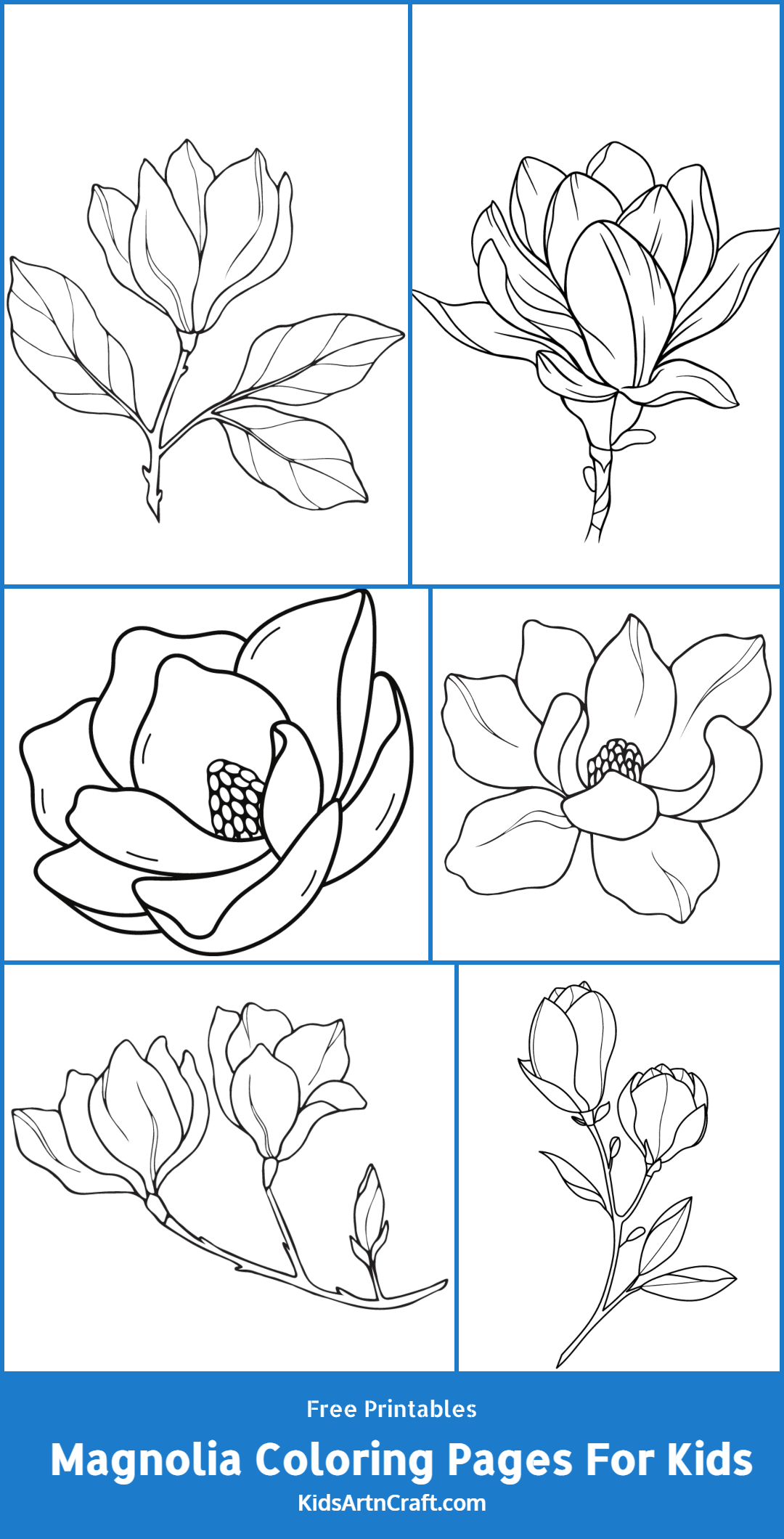 Magnolia coloring pages for kids â free printables