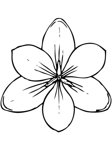 Magnolia coloring page free printable coloring pages