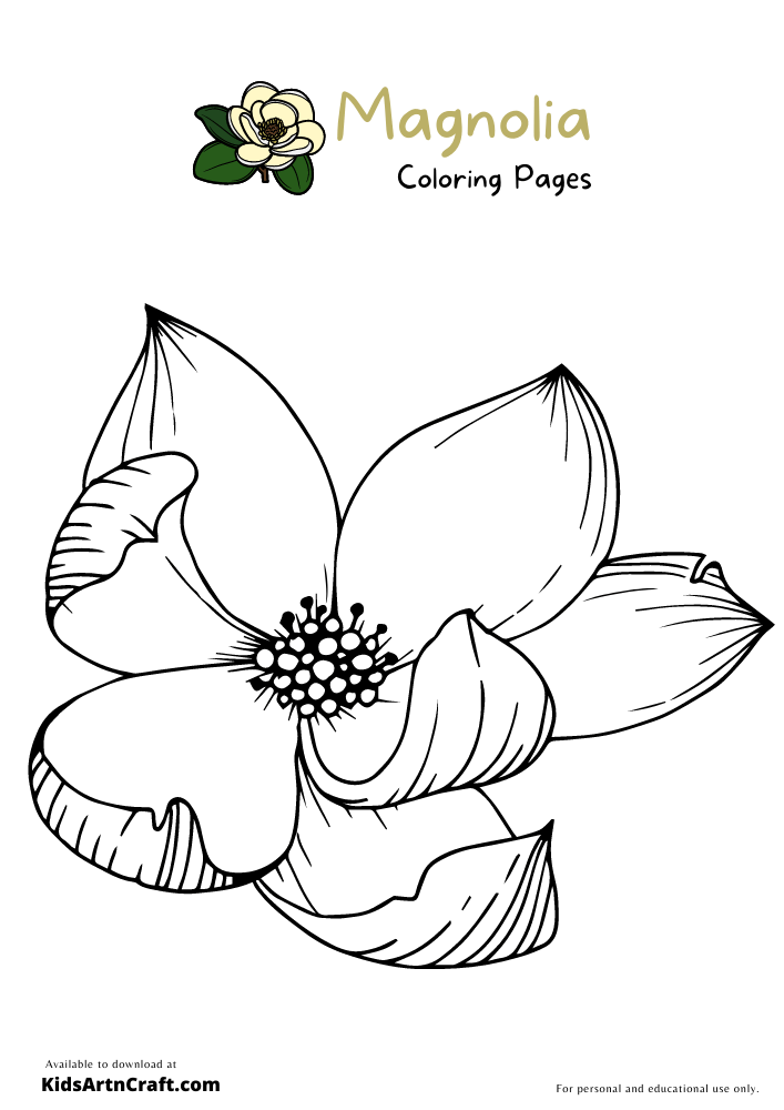 Magnolia coloring pages for kids â free printables