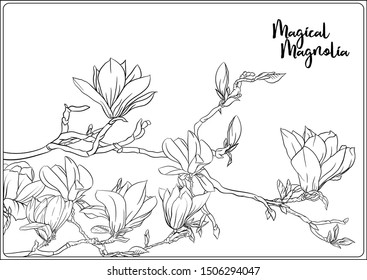 Magnolia tree branch flowers coloring page stock vector royalty free