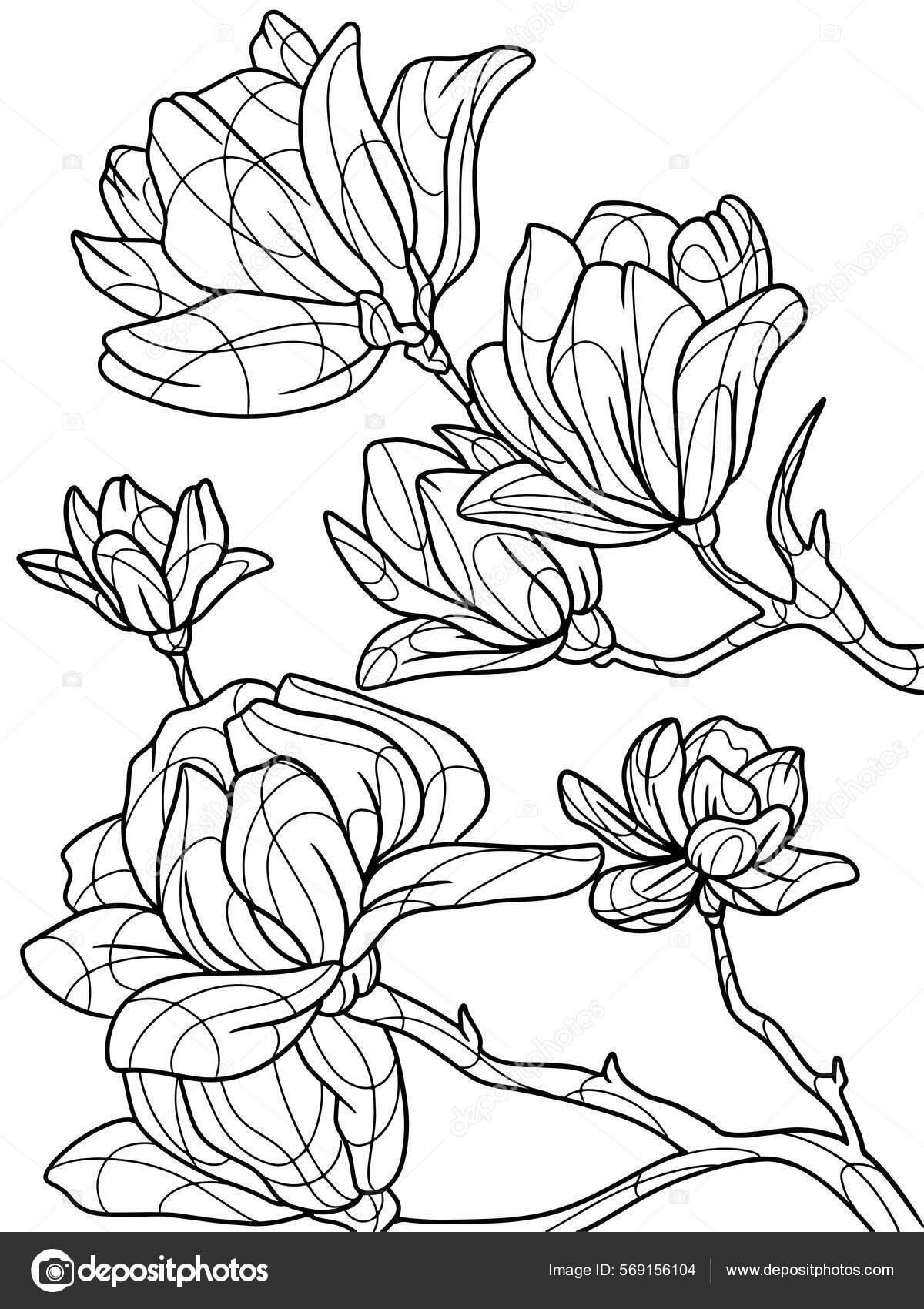 Coloring book flowers isolated magnolia black stroke white background stock illustration by toricheksgmail