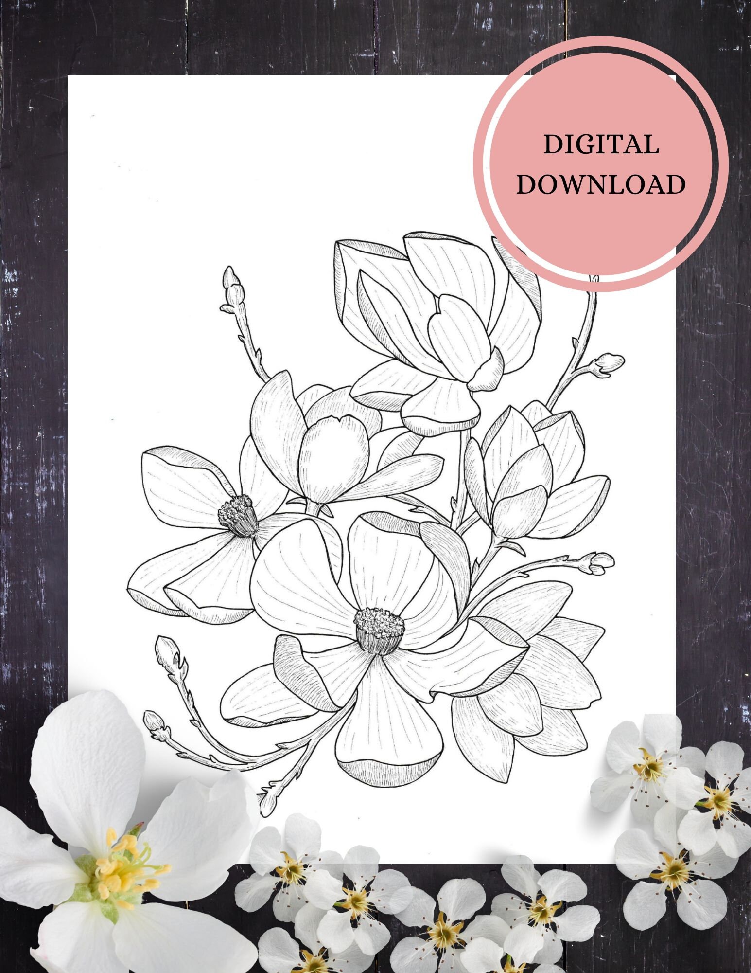 Magnolia flower coloring pageinstant download coloring page for adults