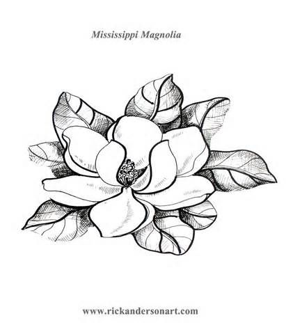 Magnolia coloring page