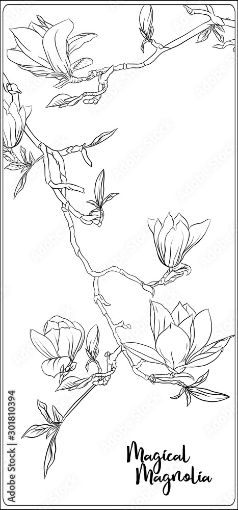 Magnolia tree branch with flowers coloring page for the adult coloring book outline hand drawing vector illustration vector