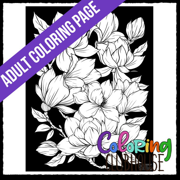 Magnolia flowers black background coloring page coloring clubhouse