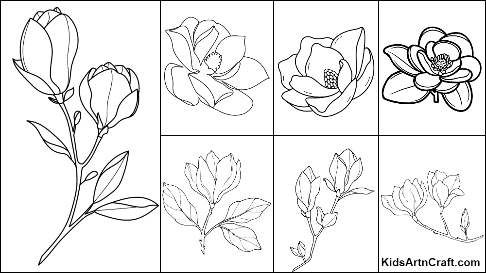 Magnolia coloring pages for kids â free printables