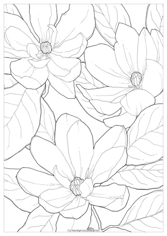 Coloring pages