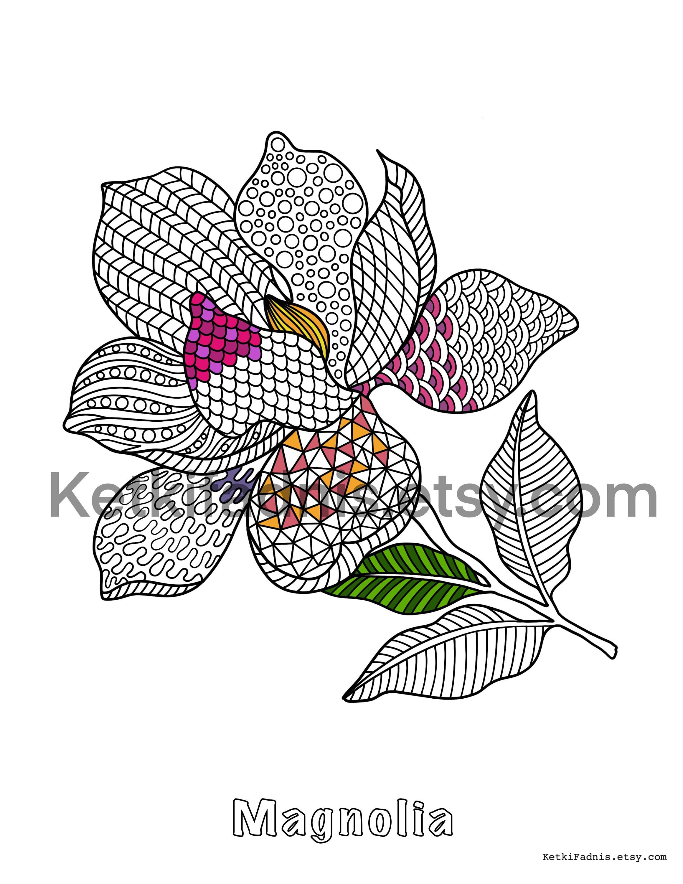 Magnolia flower coloring page flower coloring page pdf download digital download coloring page zentangle