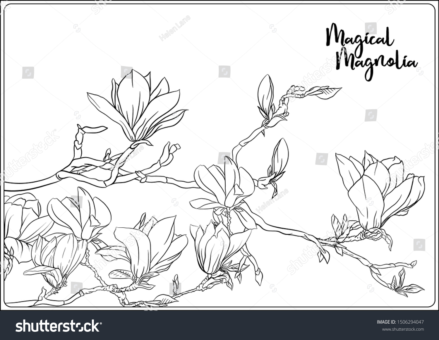 Magnolia tree branch flowers coloring page stock vector royalty free