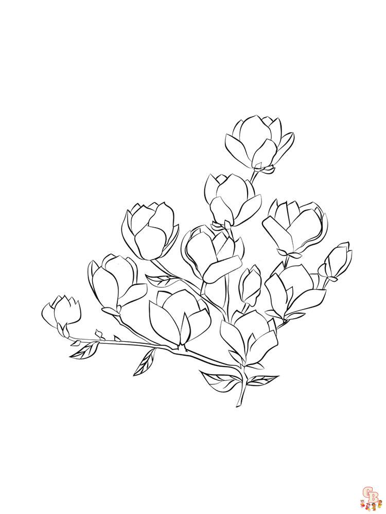 Magnolia coloring pages