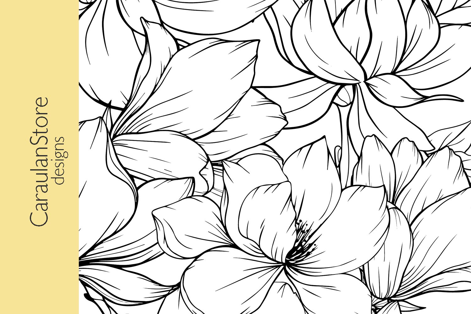 Floral coloring book page magnolia coloring page jpg pdf