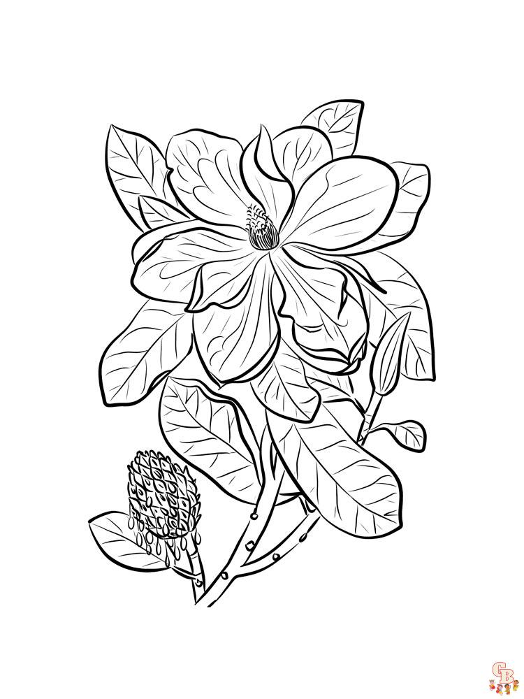 Magnolia coloring pages