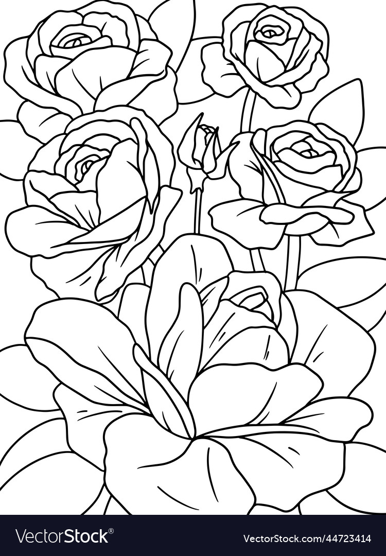 Coloring page with magnolia and leaves royalty free vector