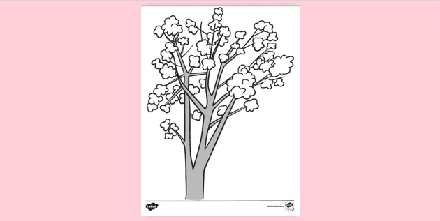 Magnolia tree colouring sheet tree colouring pages ks