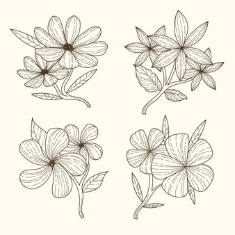 Page magnolia icon images