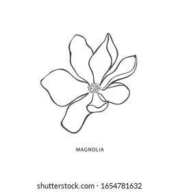 Magnolia flower floral hand drawn design stock vector royalty free