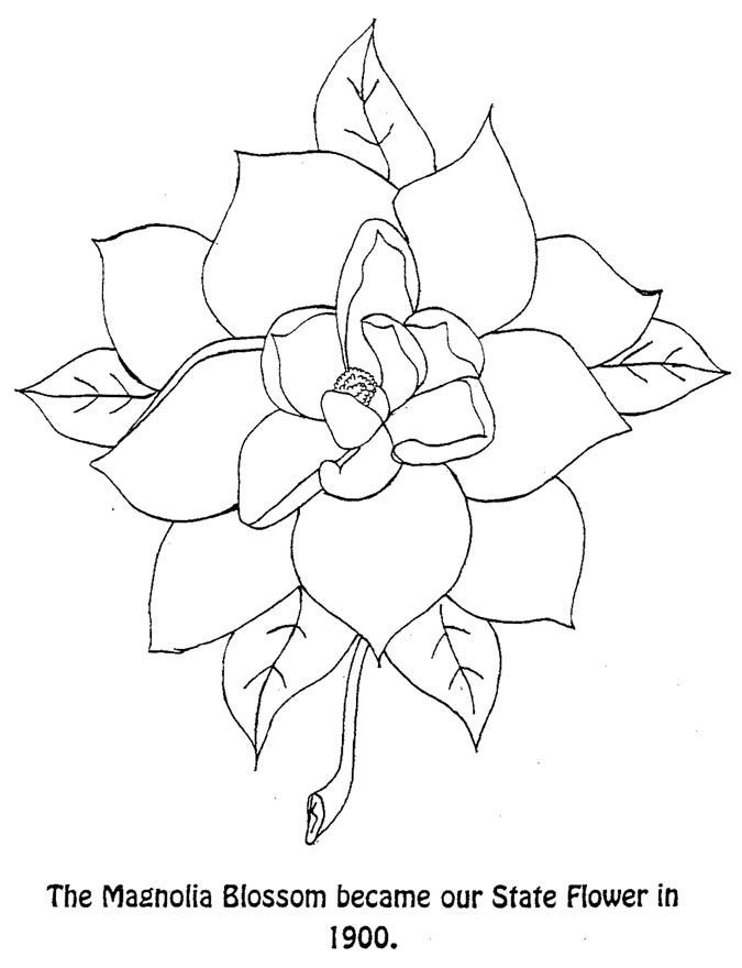 Magnolia coloring pages