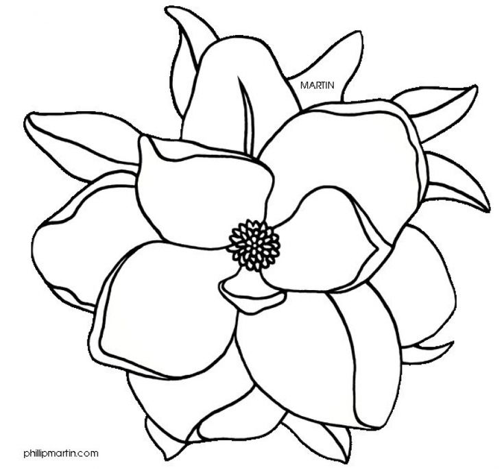 X magnolia flower clip art art reference magnolia horse coloring pages dragon coloring page mandala coloring pages